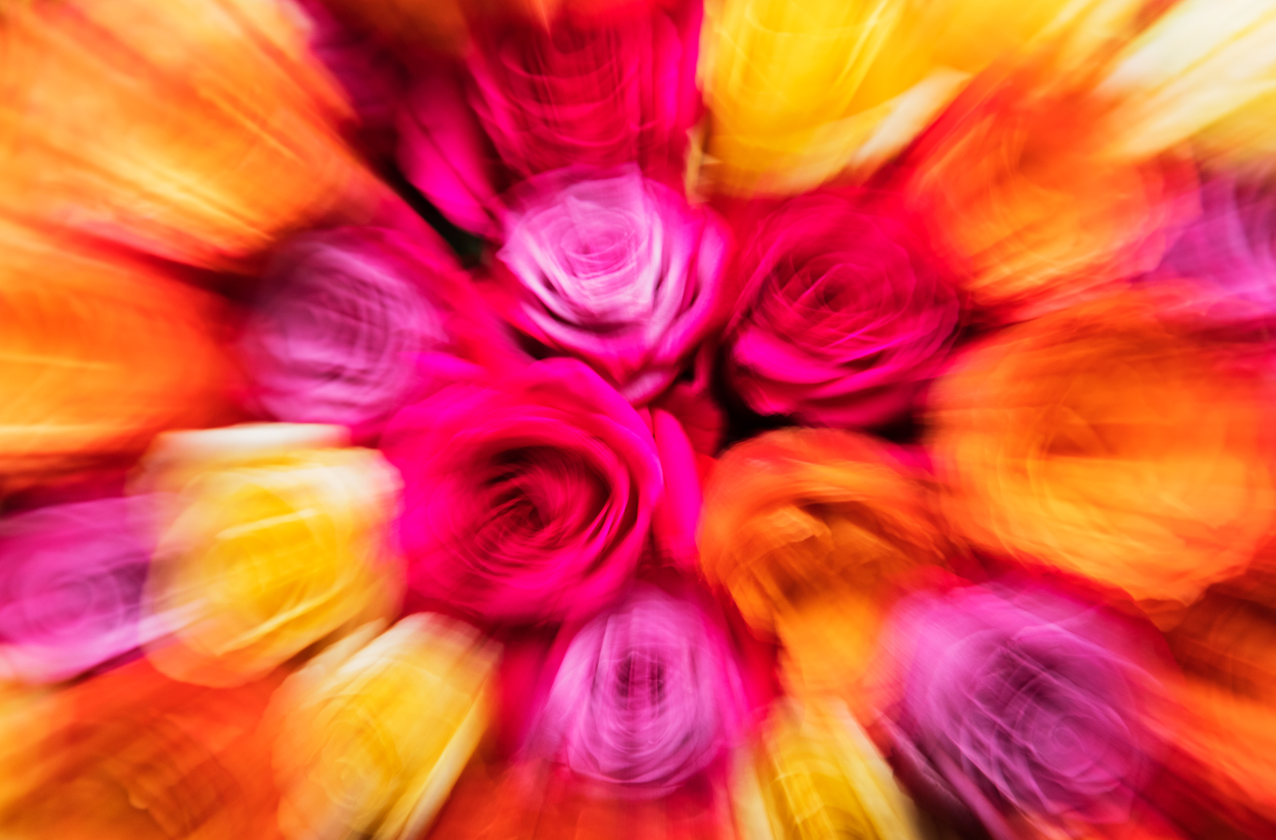 flowers II