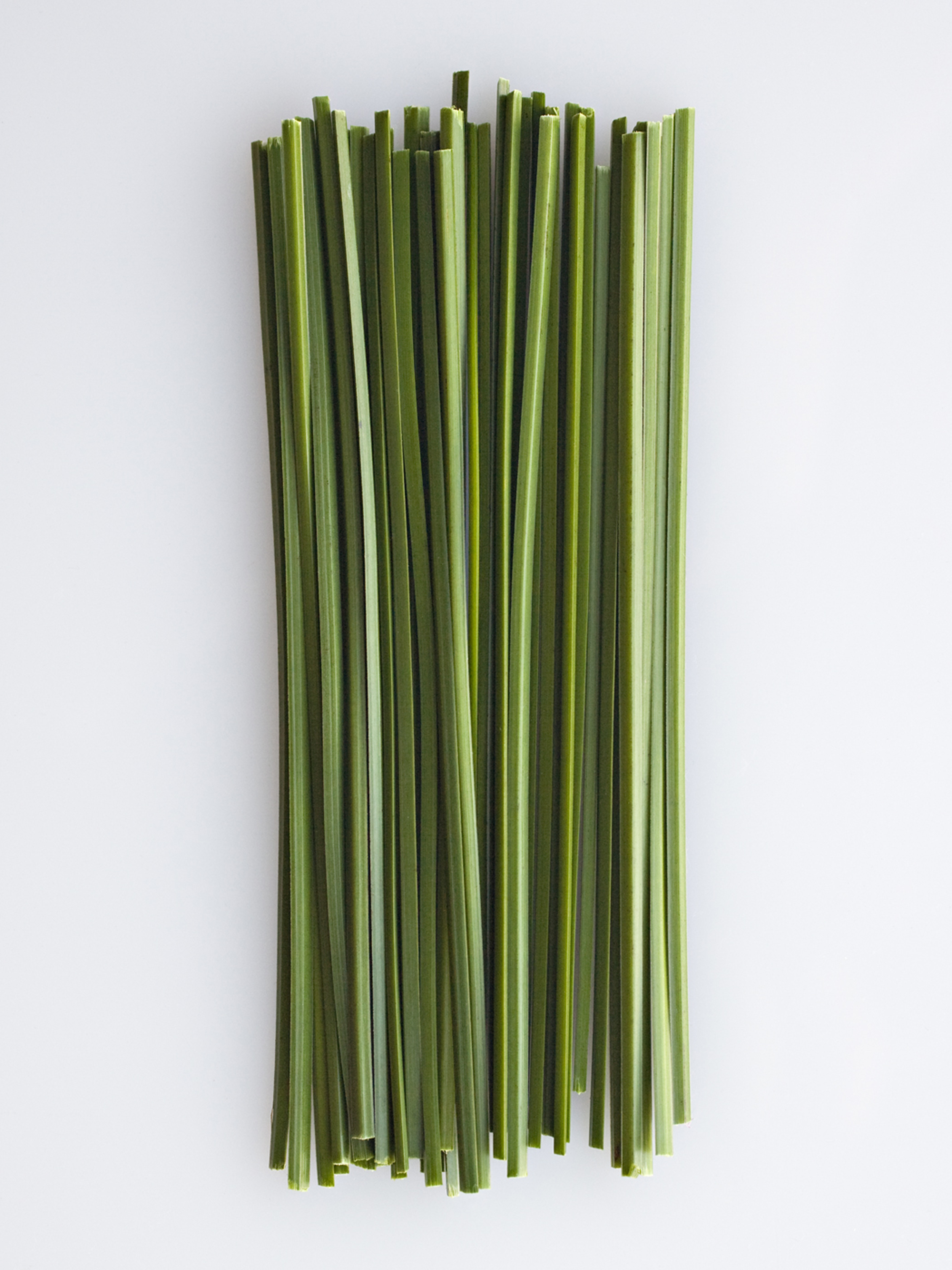 reeds