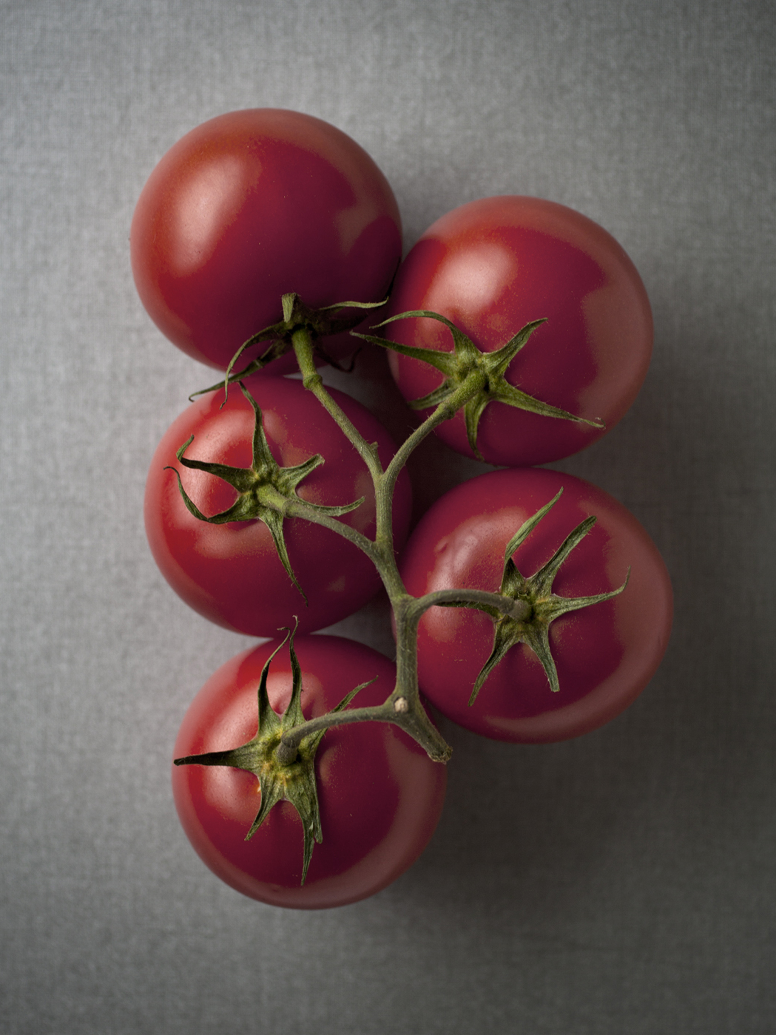 tomatoes