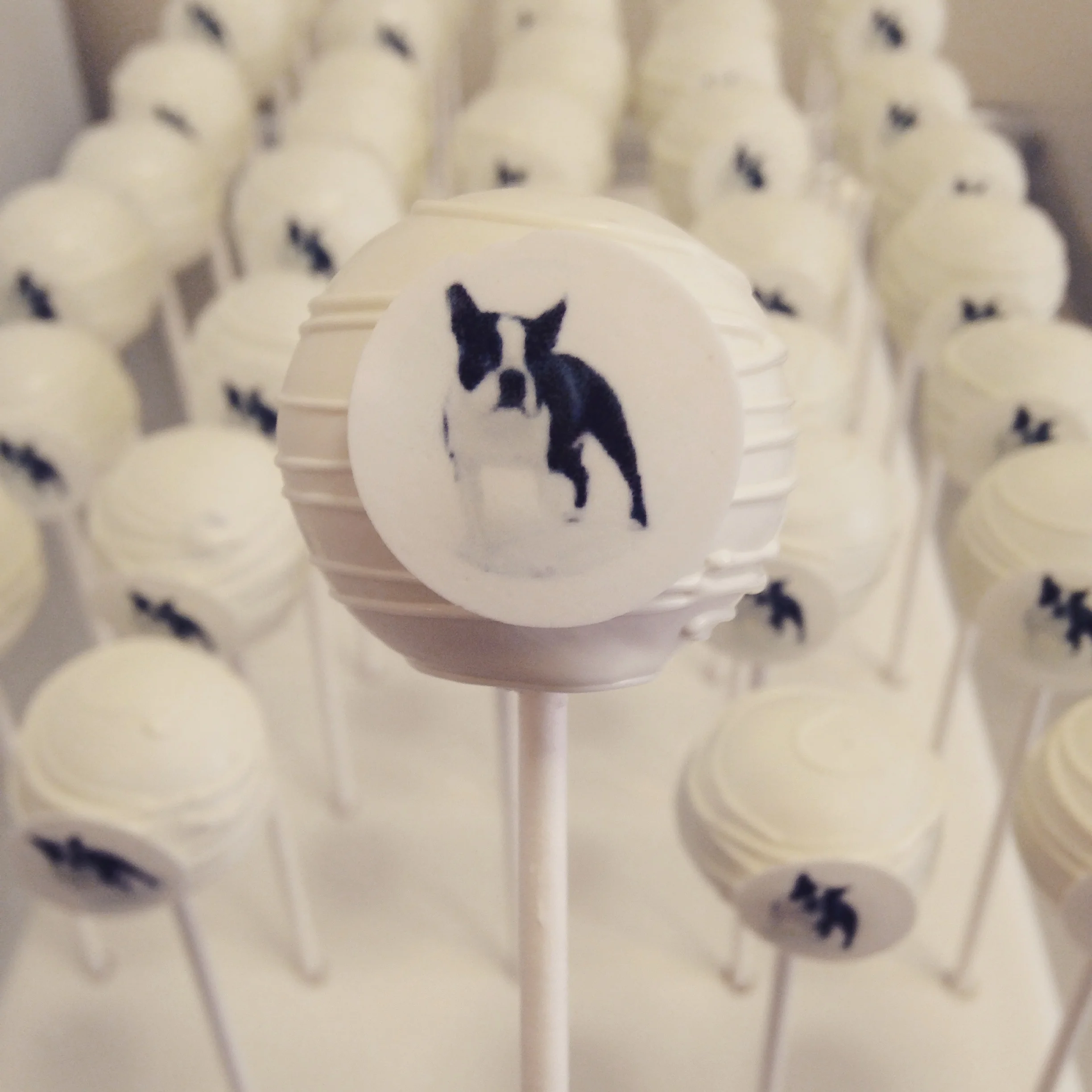Dog Logo Cake pops