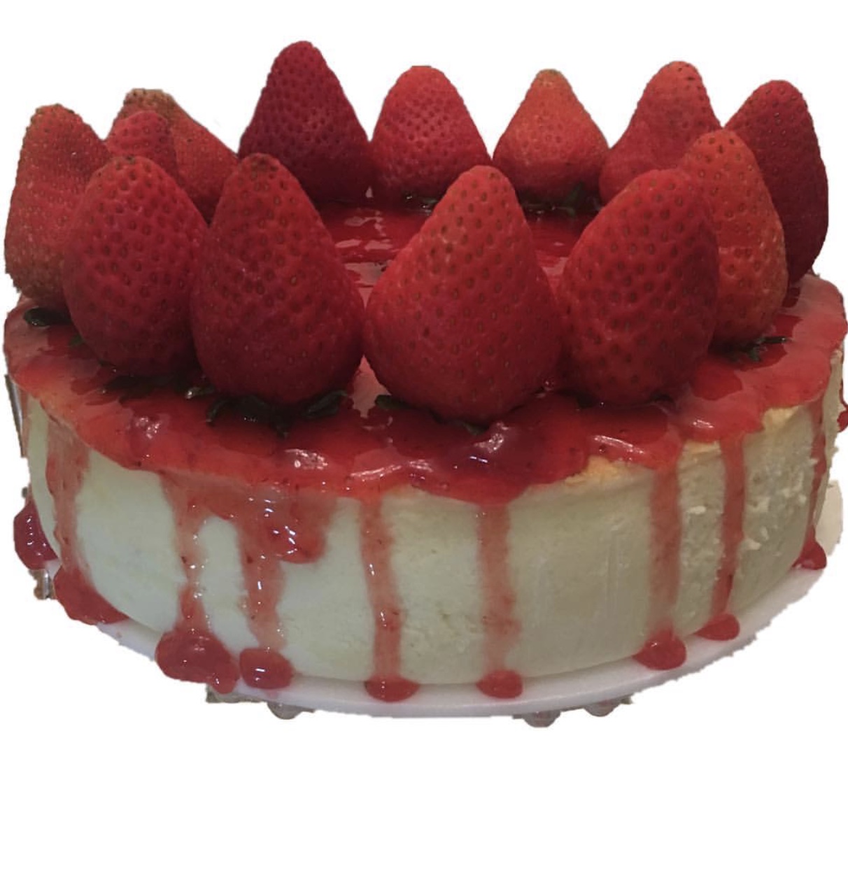 Cheese Cake