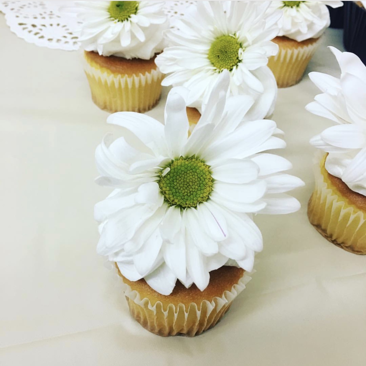 Daisy Cupcakes