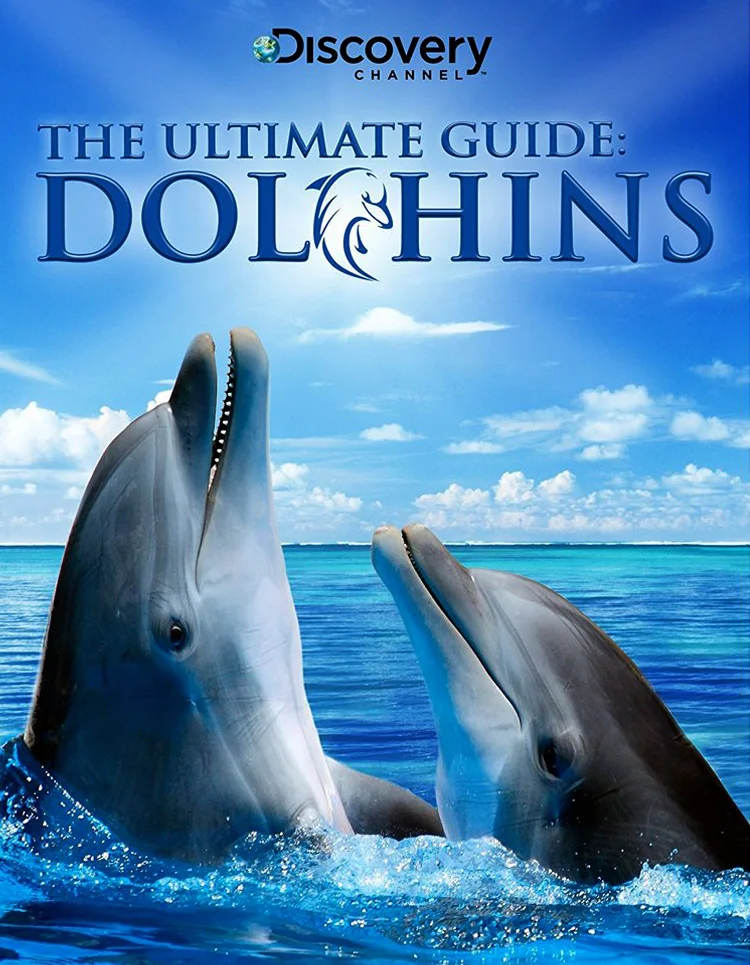 dolphins.jpg