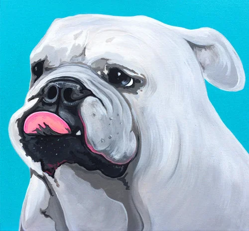 bulldog.jpg