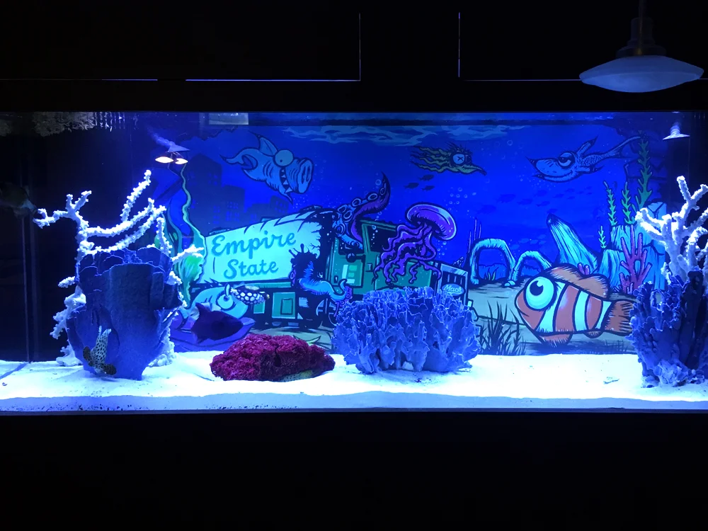 1_fishtank.jpg