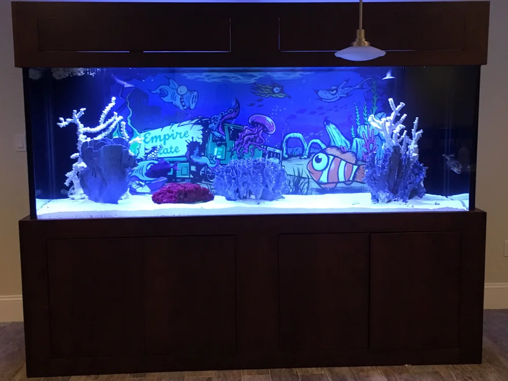 3_fishtank.jpg