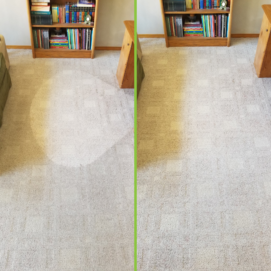 Carpet Cleaning Photos Before And After Crazy Clean