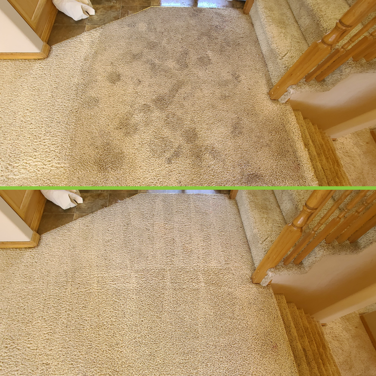 Crazy Clean Carpet Cleaning - Upholstery - Tile and Grout