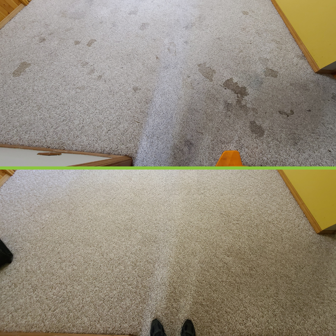 B&A - Pet stains 2.png