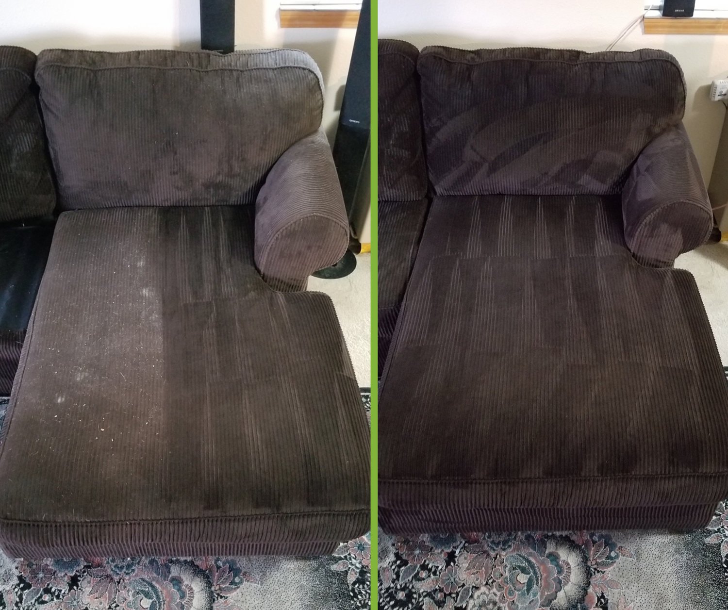 Upholstery cleaning in post falls