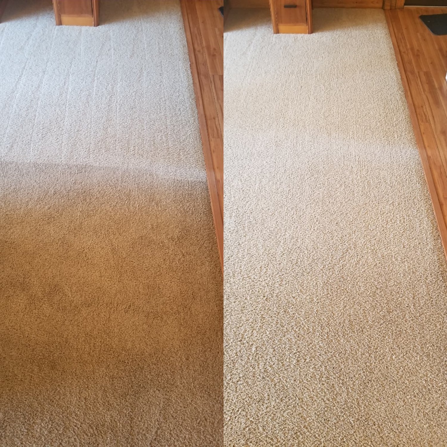 Eco-Friendly Carpet Cleaning Before and After