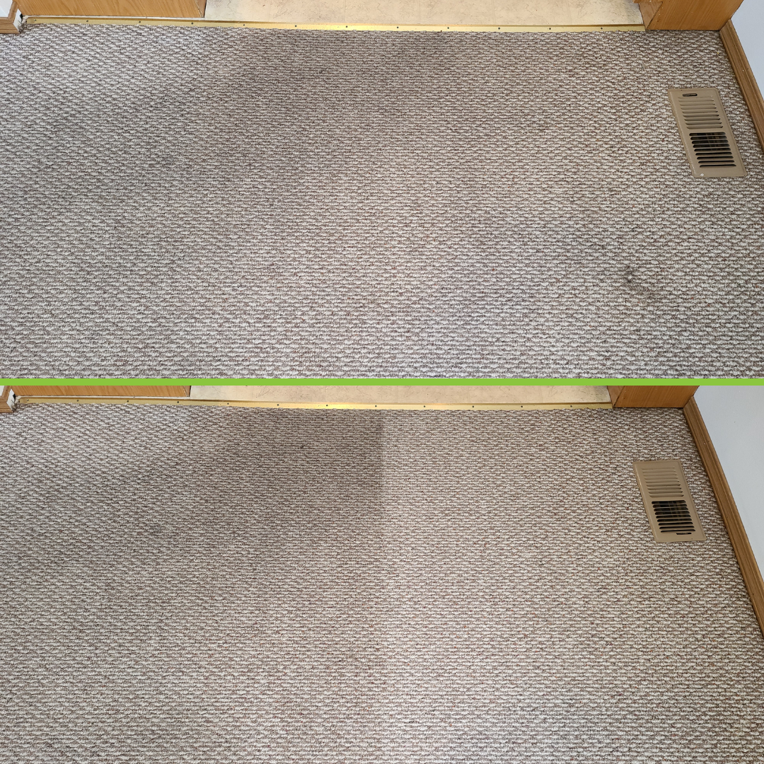 Best Carpet Cleaning: Before and After