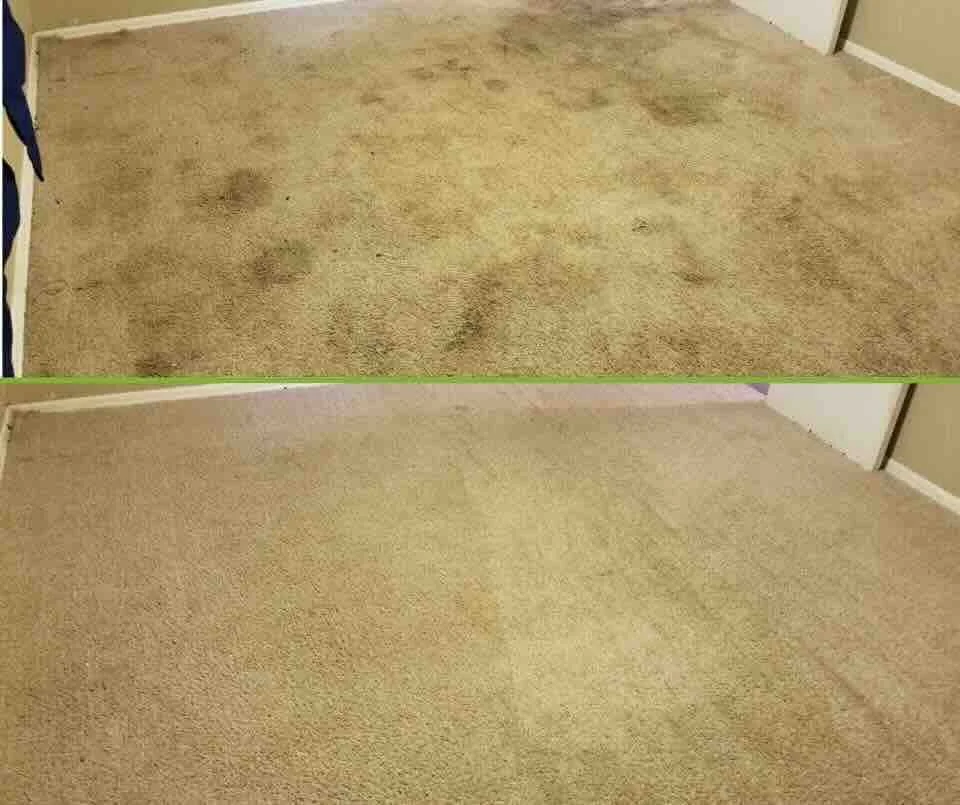 crazy clean before and after carpet 2.jpeg