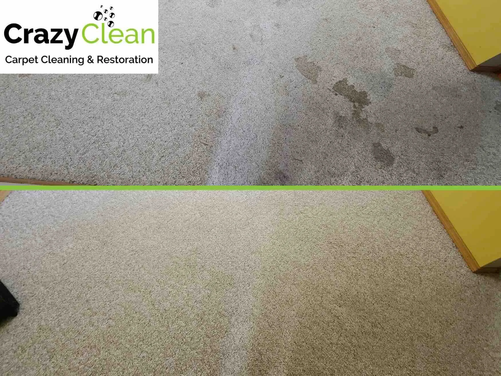 crazy clean before and after carpet.jpeg