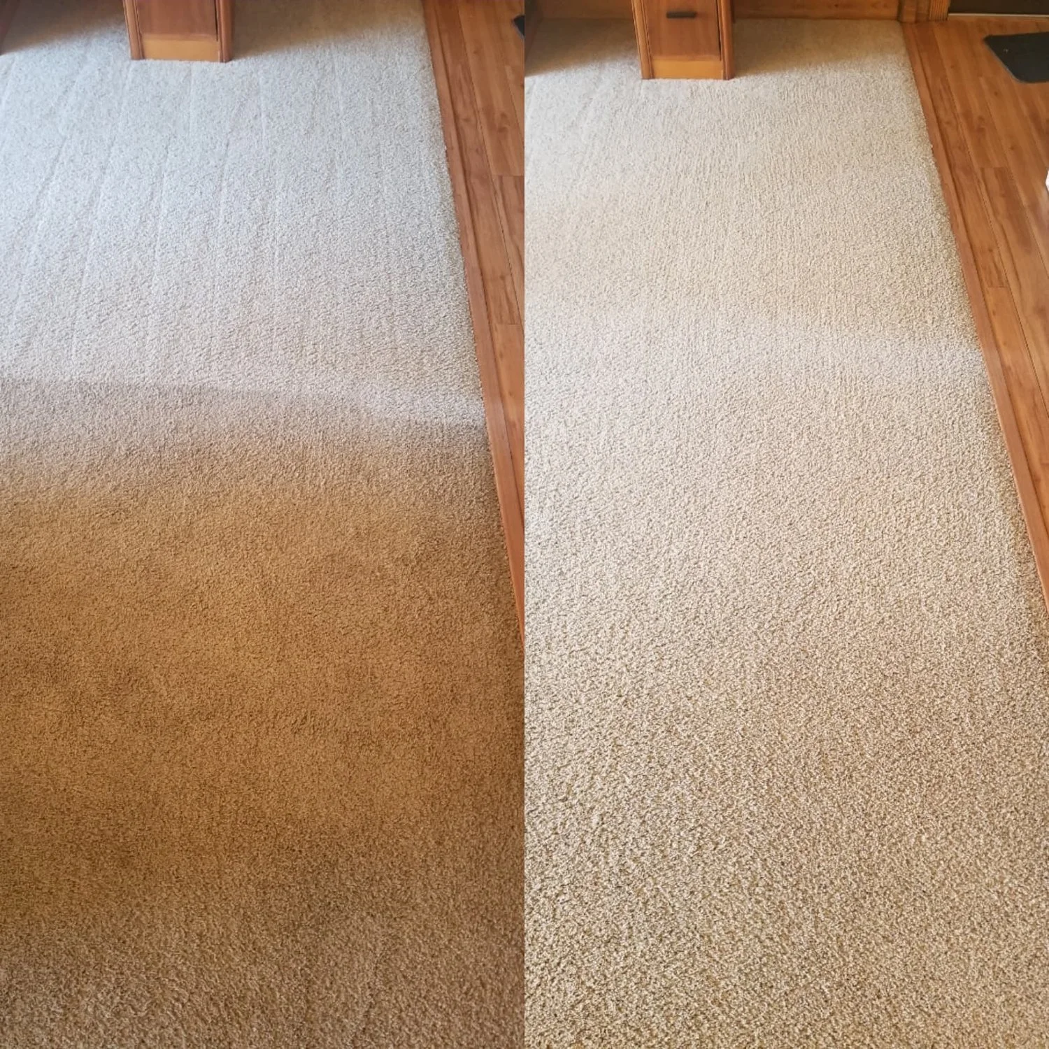 Crazy Clean Carpet Cleaning Post Falls, Spokane Valley & Coeur D