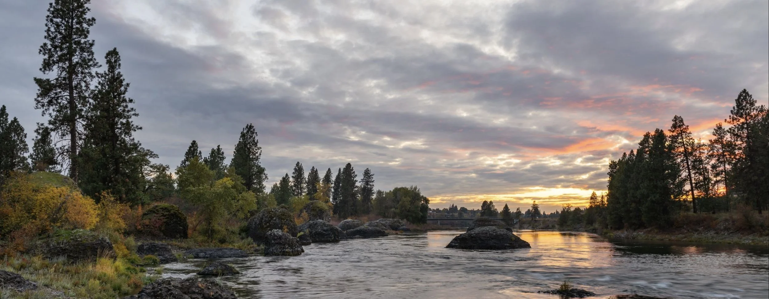 Screenshot 2025-04-09 at 10.10.35 AM.jpg