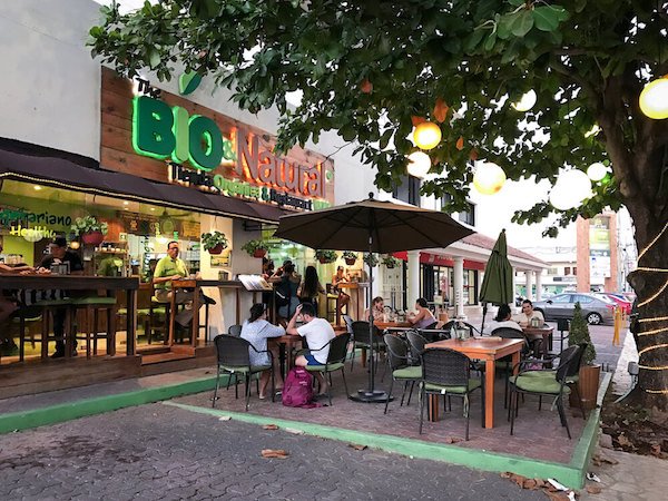 The Best Vegan Food Restaurants in Playa del Carmen — Spanish and Go