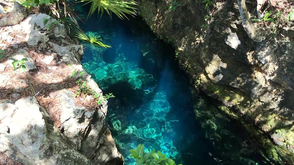 Cenote Eden
