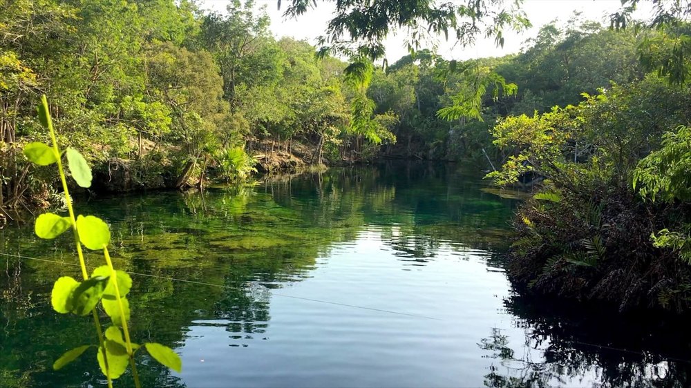Cenote Eden