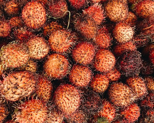 An exotic fruit in Puerto Rico and a lot more.