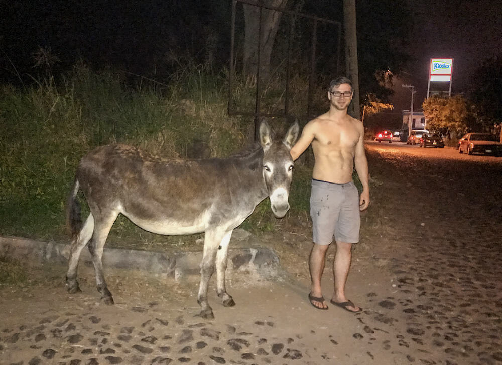 In the breakdown section of this episode, I mentioned I’d include the picture with the random burro May and I found on the street in Colima, Mexico while on our way to a Kiosko (pictured to the right of me in the background). Well, here it is. 😆