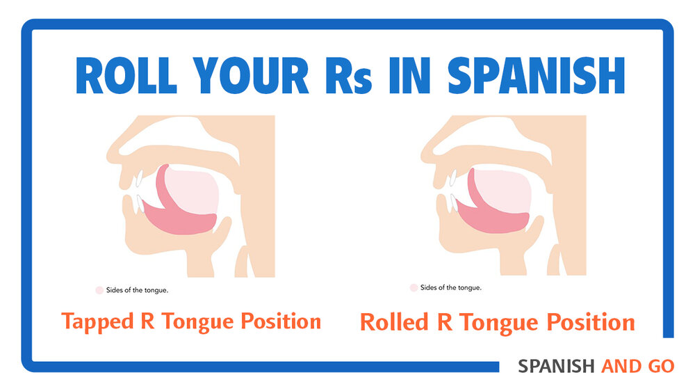 Practice makes perfect. Check this illustration of the proper positioning of your tongue to roll your R's in Spanish.