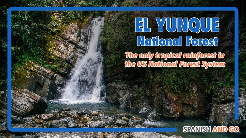 El Yunque National Forest is the only tropical rain forest in the U.S. National Park system. You cannot miss this Puerto Rican jem!