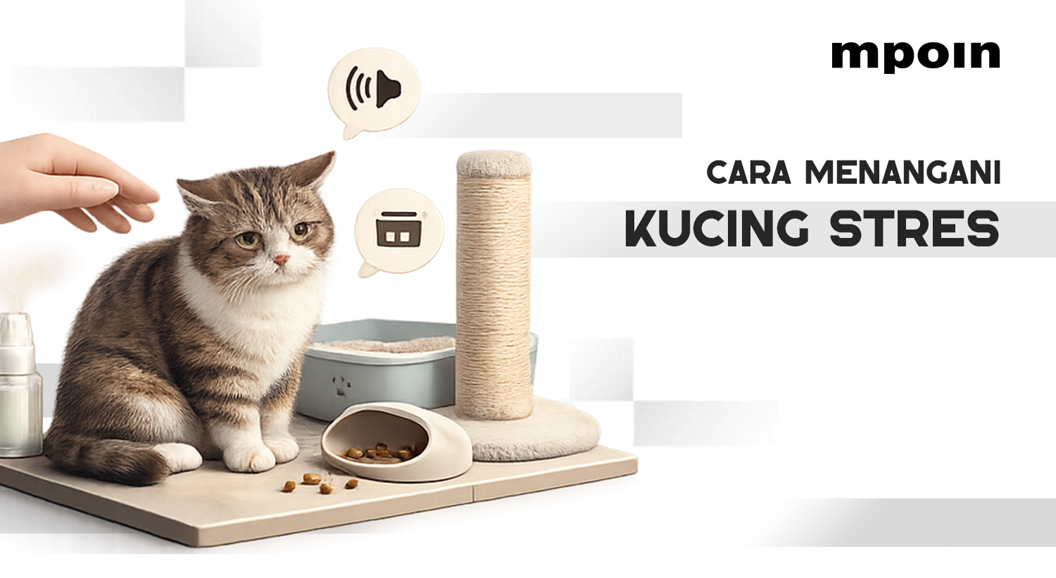 Kenali Stres pada Kucing dan Cara Tepat Mengatasinya