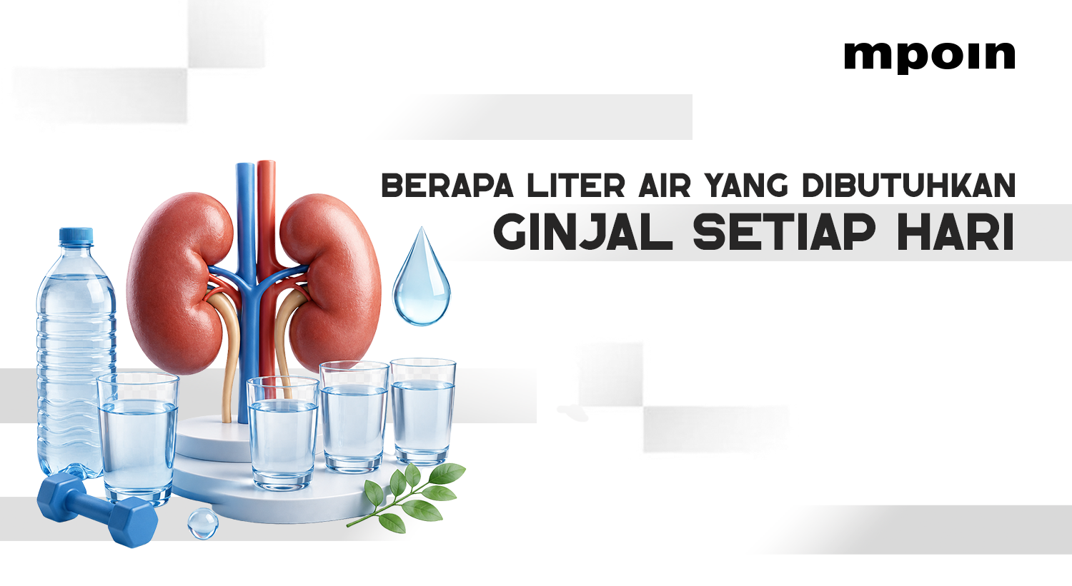 Berapa Liter Air Mineral yang Dibutuhkan Ginjal Setiap Hari?