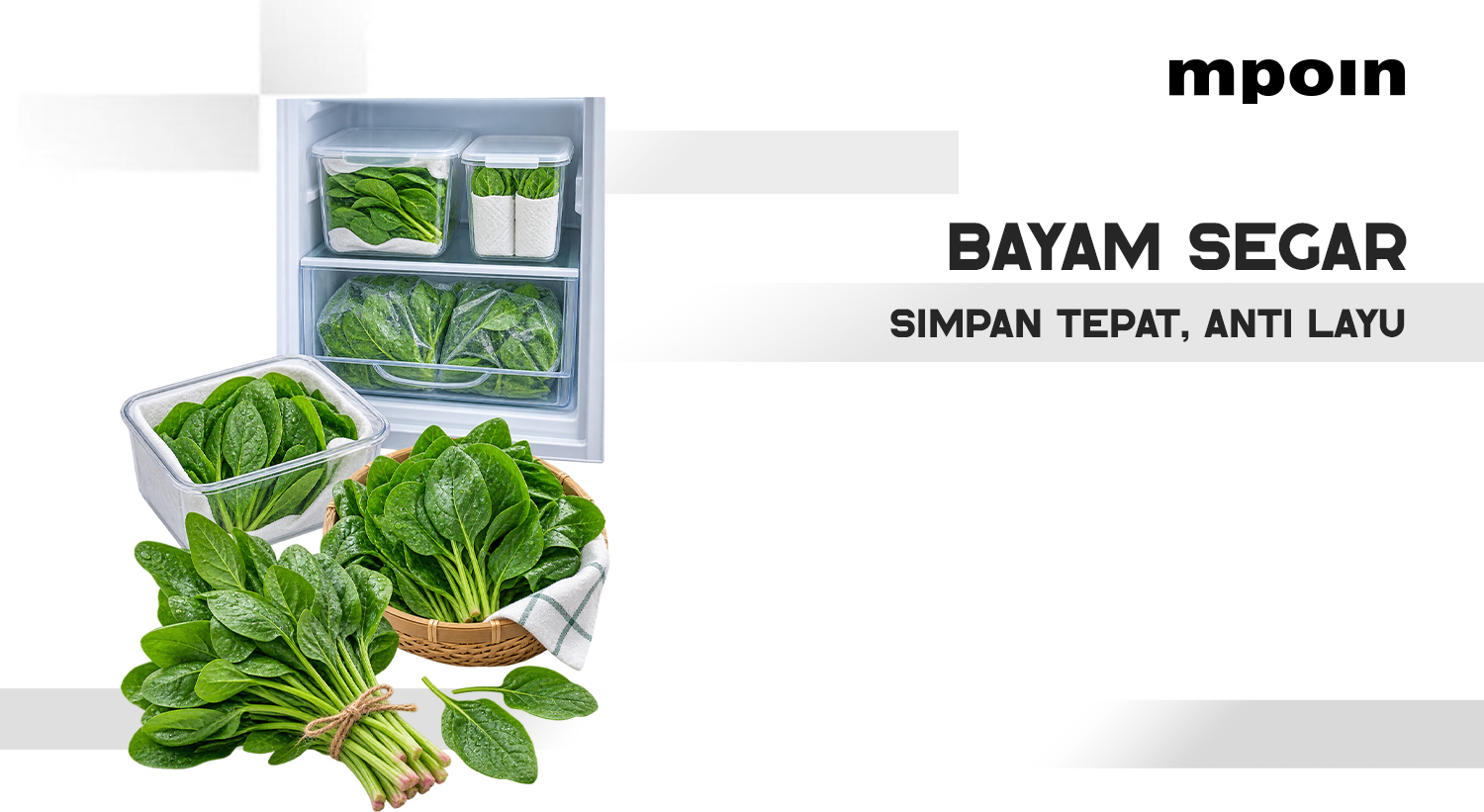 Anti Layu! Ini 5 Cara Menyimpan Bayam di Kulkas agar Tetap Segar dan Tahan Lama