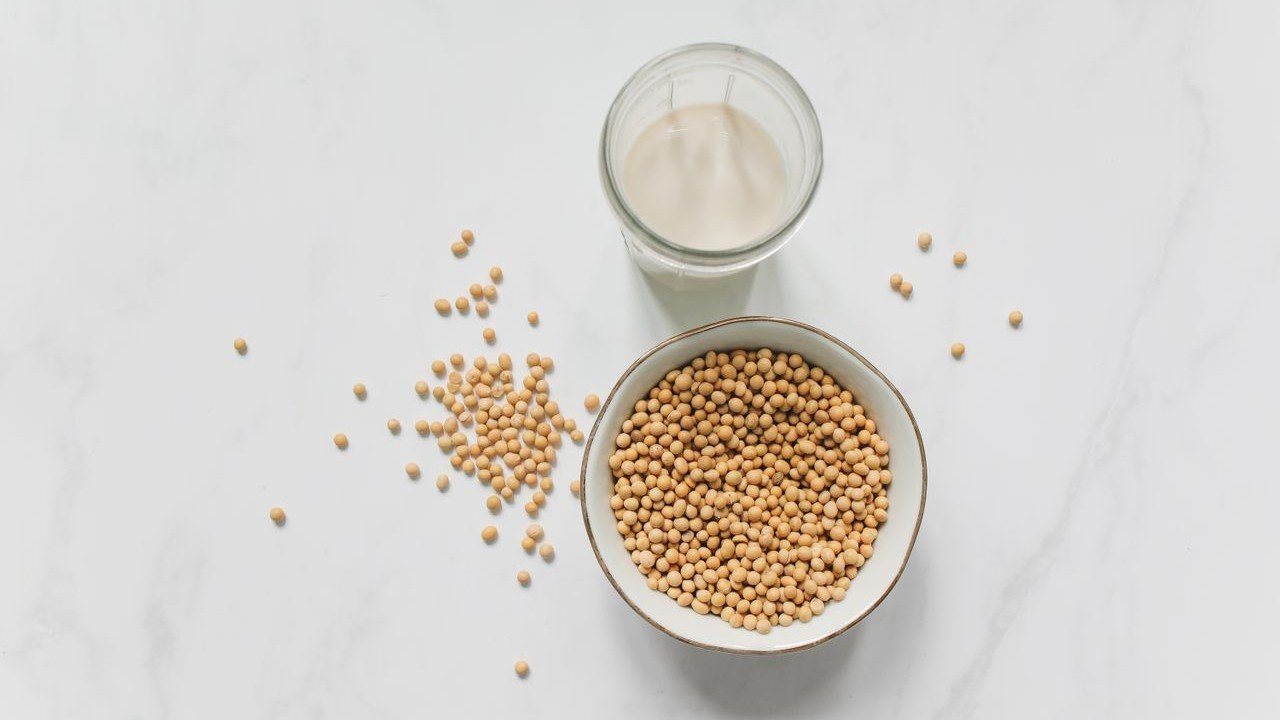 Manfaat Susu Kedelai sebagai Sumber Protein Nabati