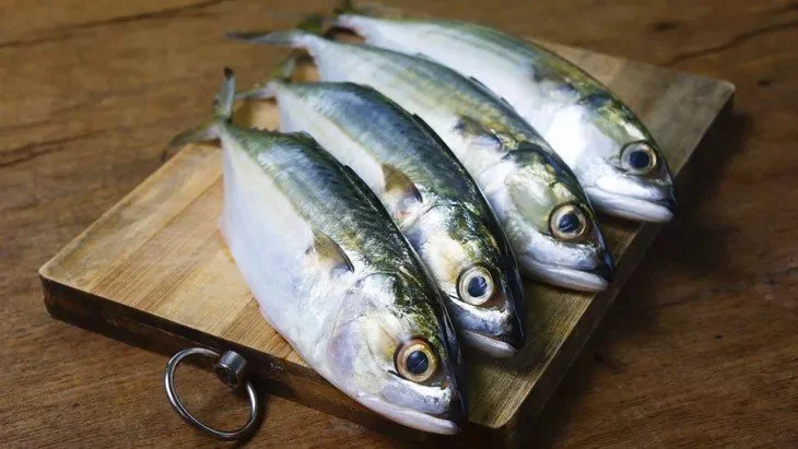Ikan Kembung