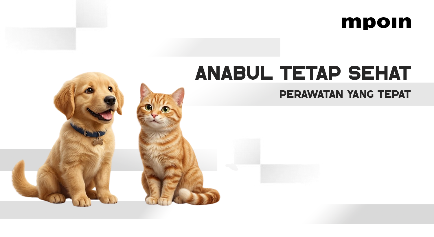 7 Cara Merawat Anabul Kesayangan di Rumah agar Tetap Sehat