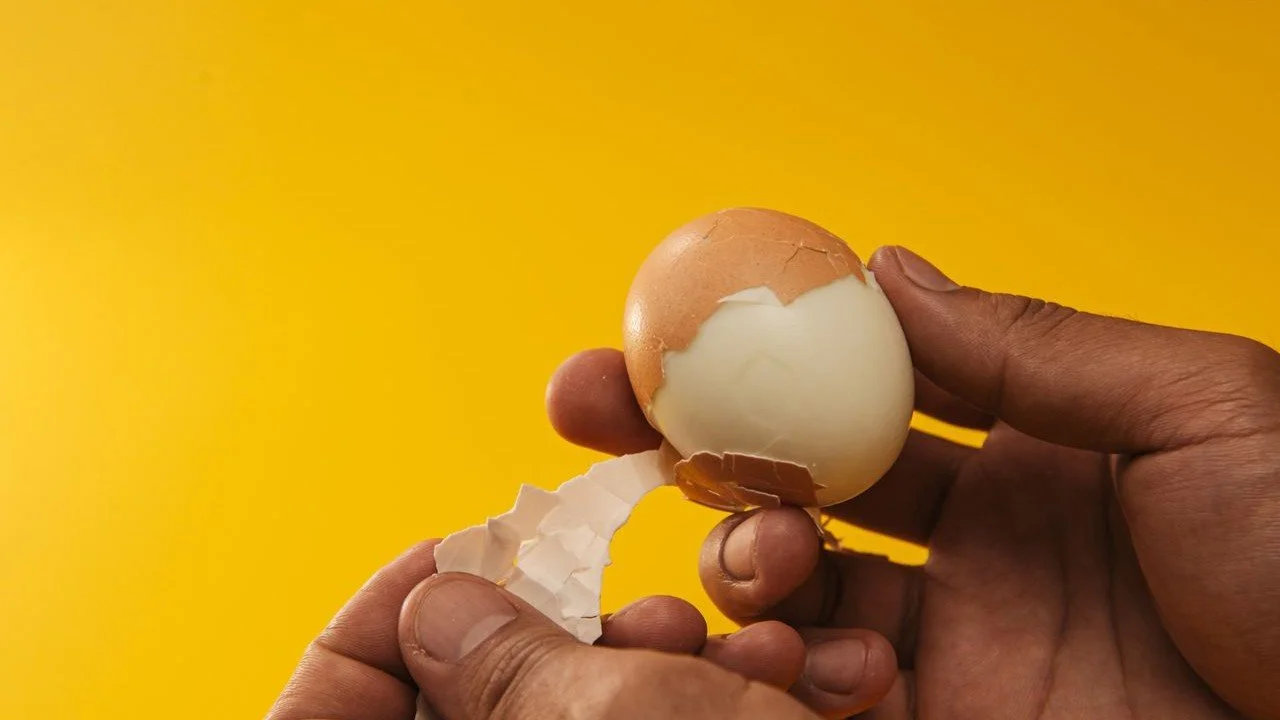Telur