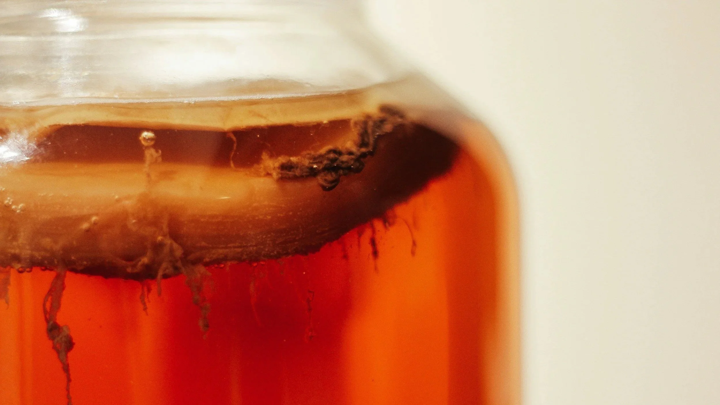 Kombucha