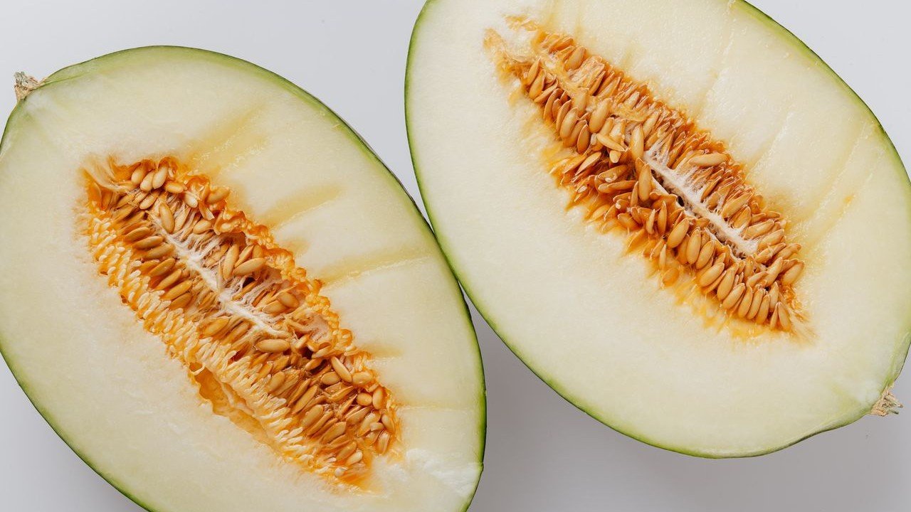 Melon