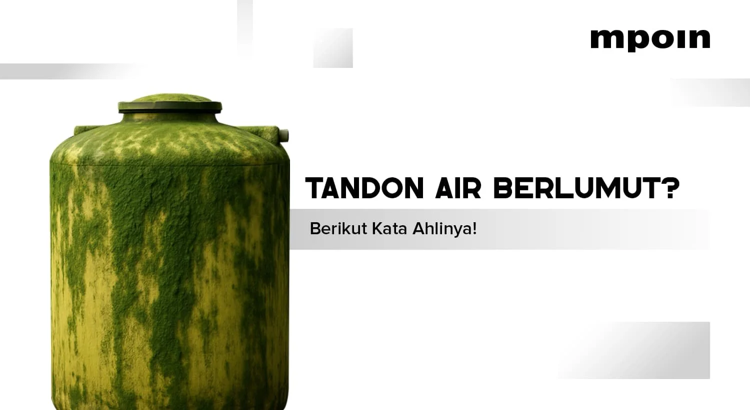 Air Berlumut di Tandon, Bahaya atau Tidak? Ini Jawaban Ahlinya