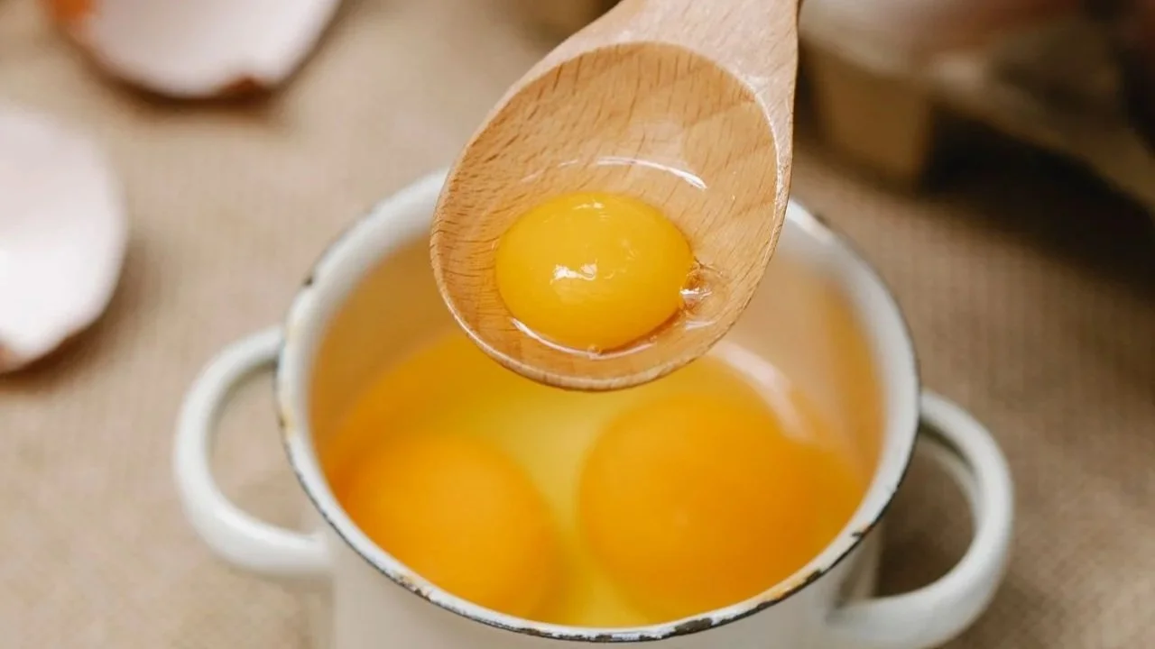 kuning telur