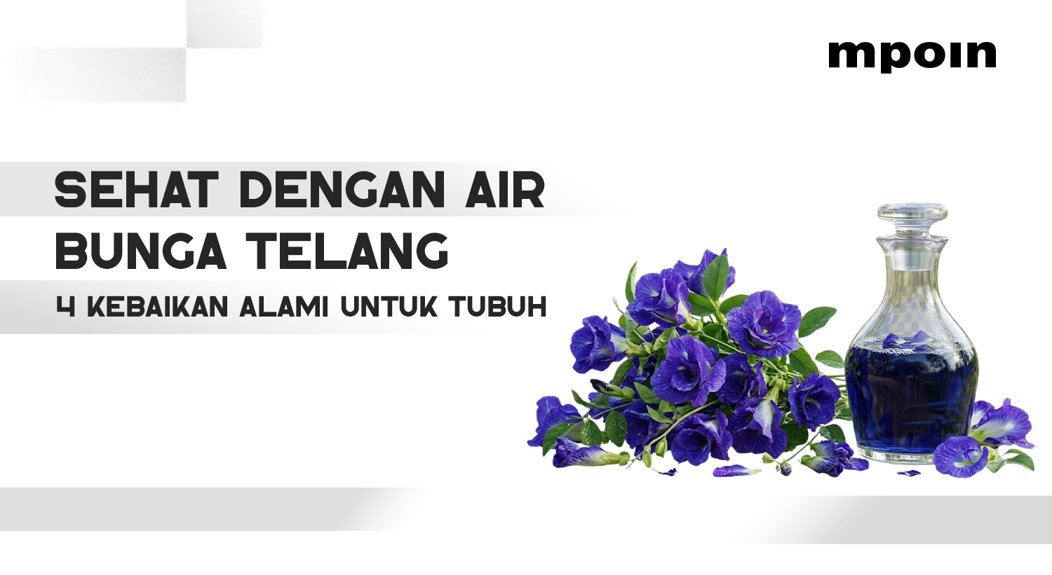 4 Manfaat Air Bunga Telang untuk Kesehatan yang Perlu Diketahui