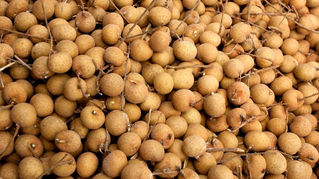 kelengkeng