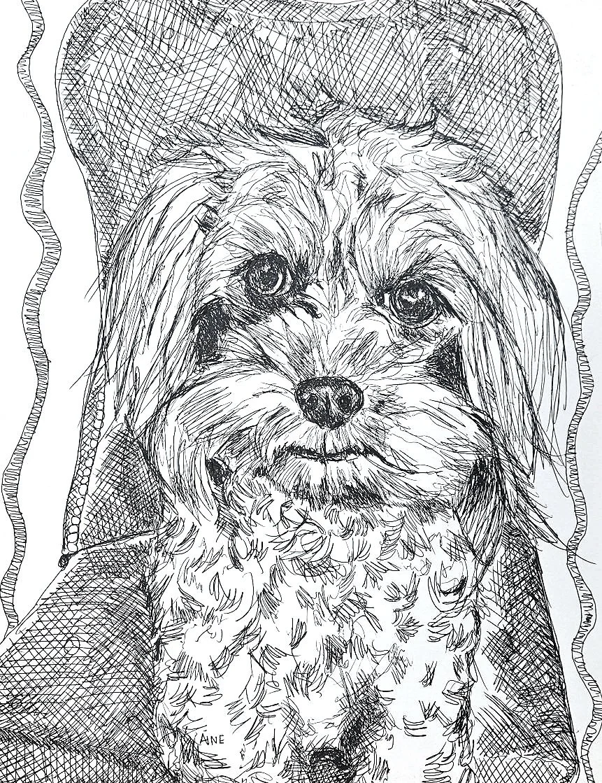 20260421_200033.jpg