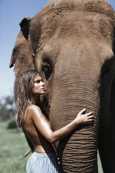 FFC brings awareness to the importance of wildlife conservation.