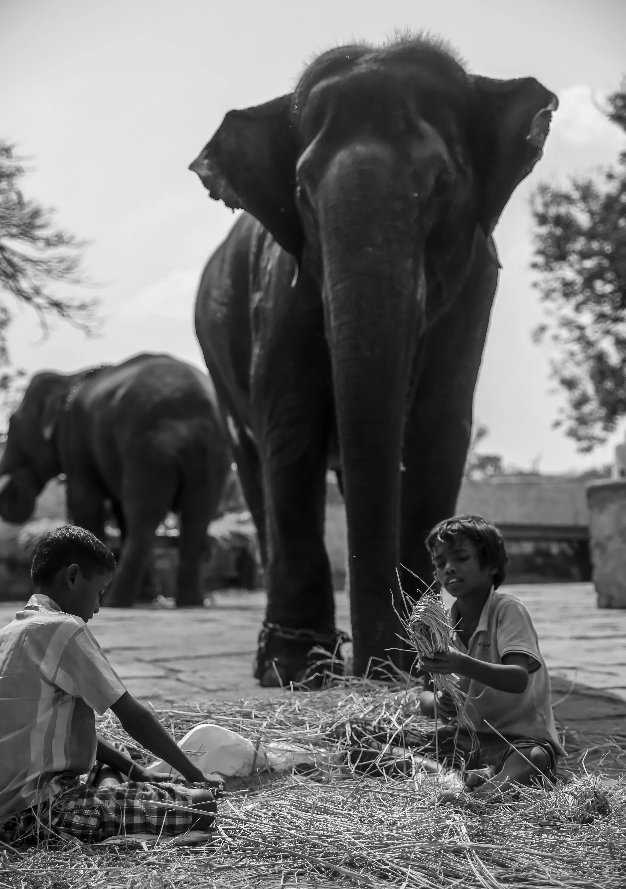 PC: Gowri Varanashi