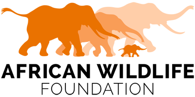AWF_Logo_Standard_Orange_Digital_LowRes_400.png
