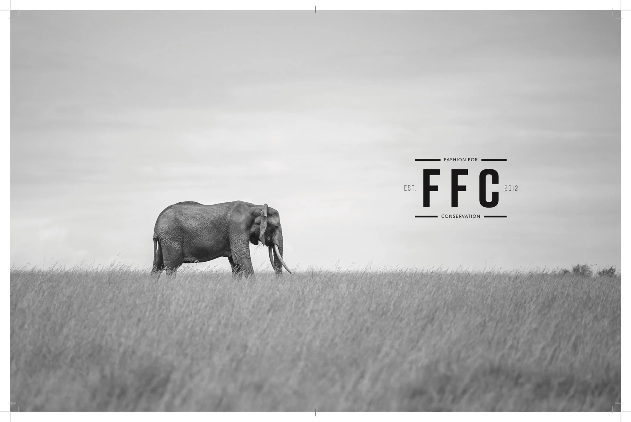 FFC Magazine preview