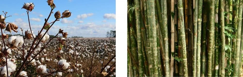 “ColieCo uses cotton jersey fabric made from organically grown bamboo.” - ColieCo.com