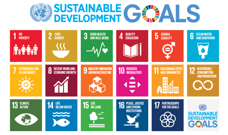 SDG.png