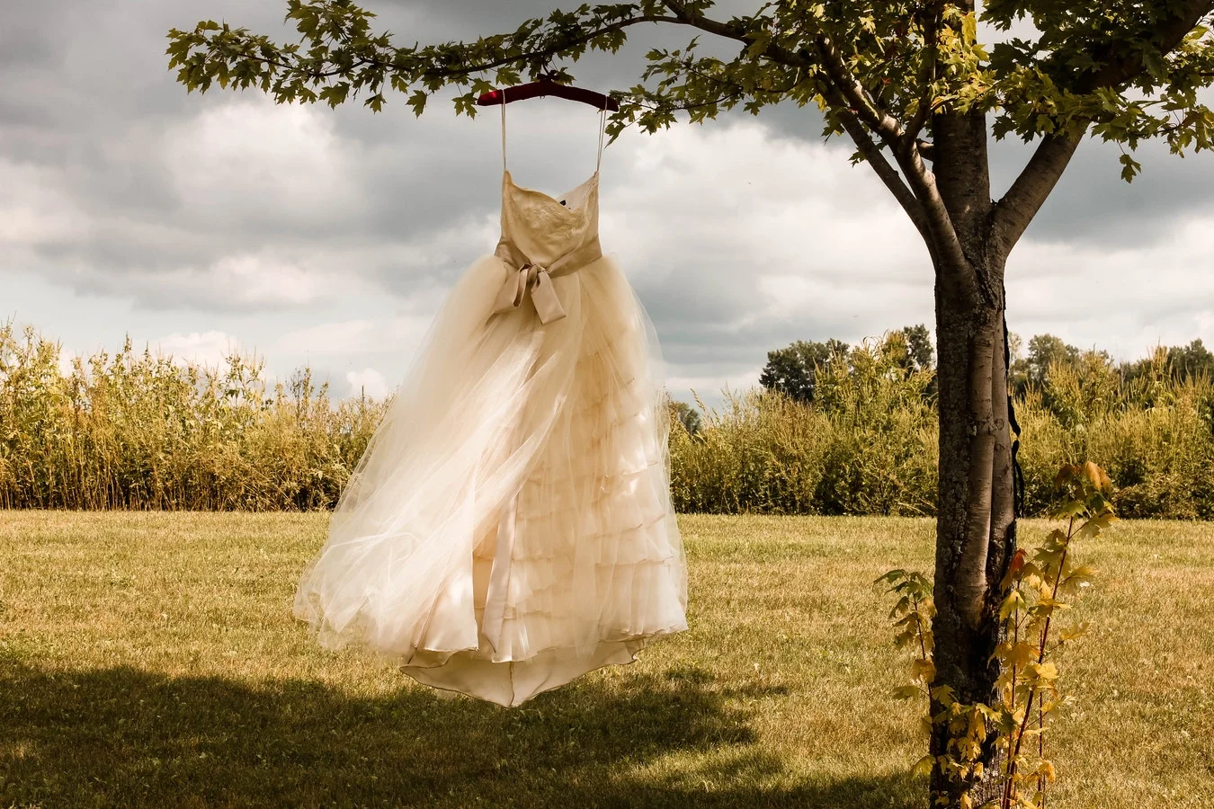 dress.jpg