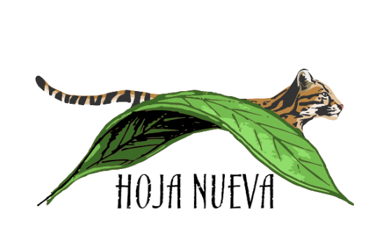 hojanueva2.png