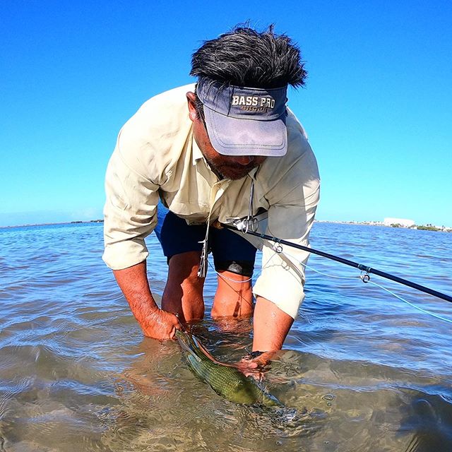 @etfishwhisperer making fly fishing in Hawaii look easy! He is the guy that catches fish when no one else is catching fish. #fishing #fish #flyfishing #flyfishhawaii #flyfishinghawaii #hawaii #waikiki #bomefish #flatsfishing #veteranownedbusiness #veterans #seewhatsoutthere